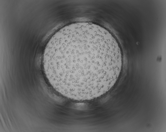 X0000115720153200912241612