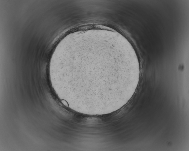 X0000115720154200912241612
