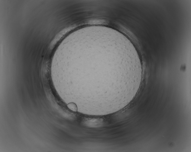 X0000115720155200912241612
