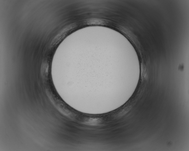 X0000115720157200912241612