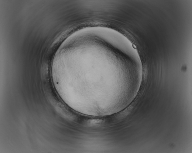X0000115720158200912241612