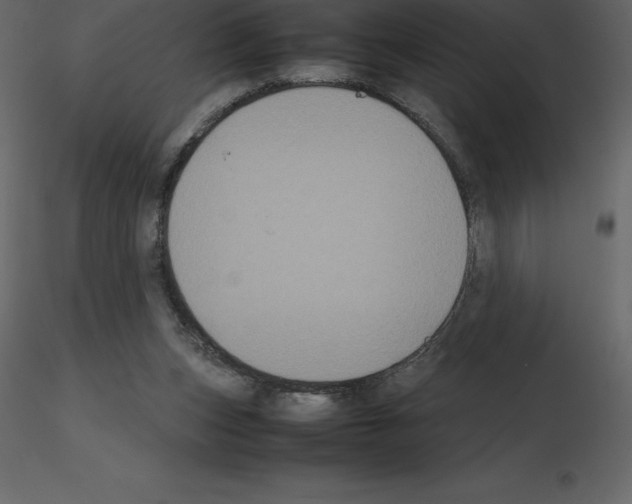X0000115720159200912241612