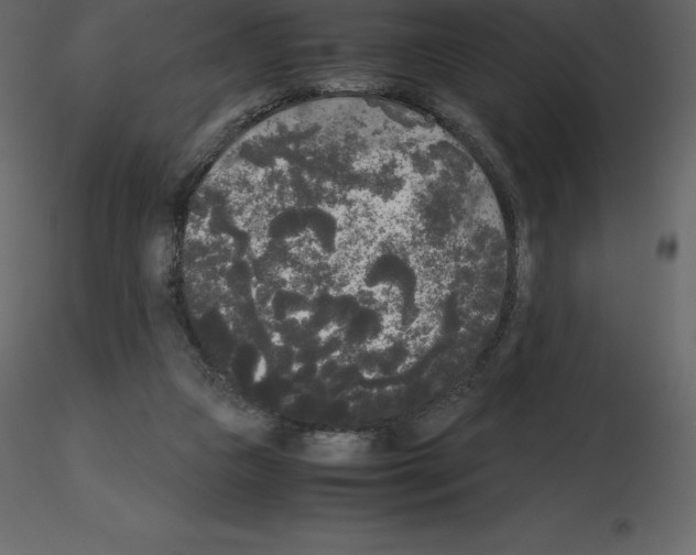 X0000115720161200912241612