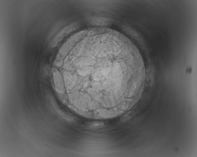 X0000115720162200912241612