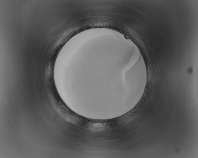 X0000115720163200912241612