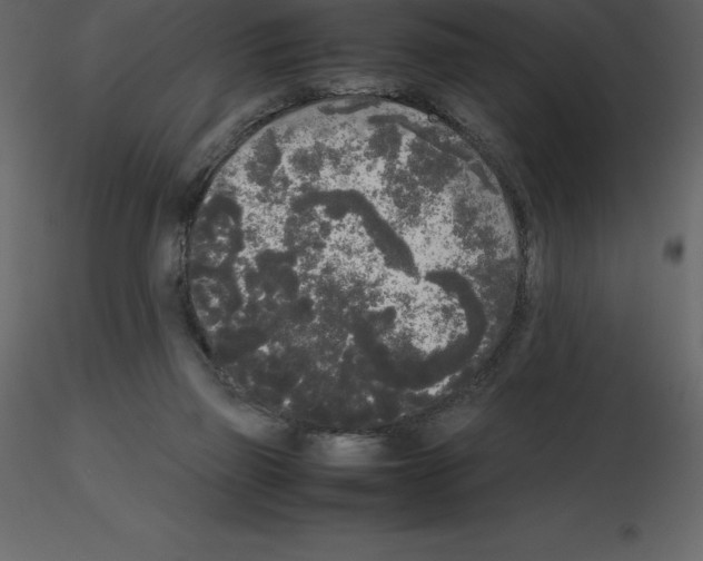 X0000115720165200912241612