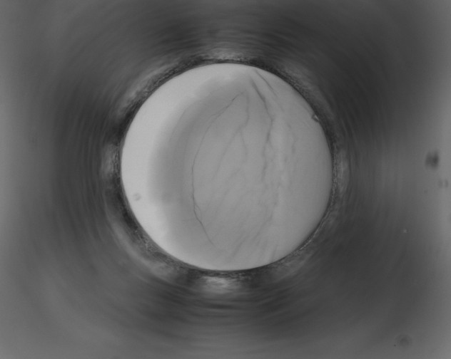 X0000115720167200912241612
