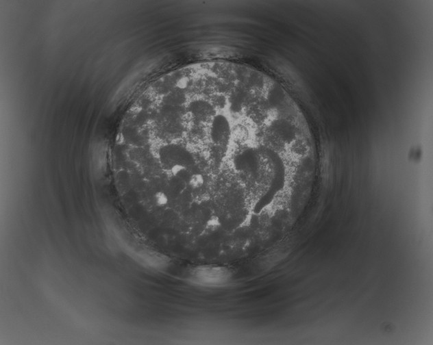 X0000115720169200912241612