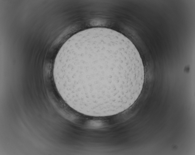 X0000115720171200912241612