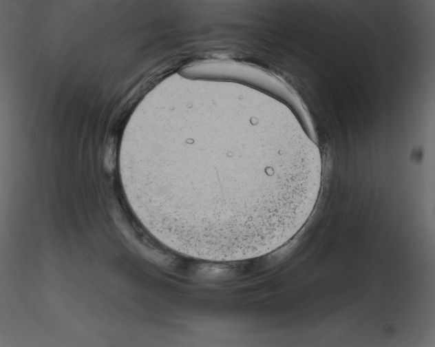 X0000115720174200912241612
