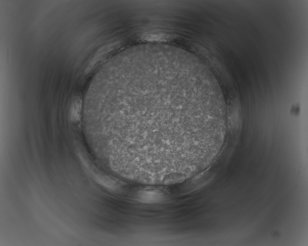 X0000115720175200912241612
