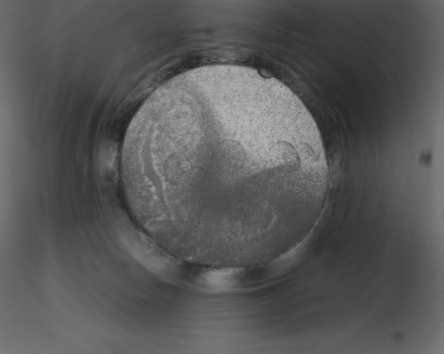 X0000115720178200912241612