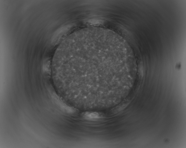 X0000115720181200912241612