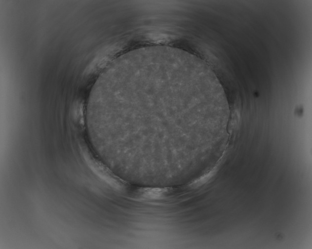 X0000115720182200912241612