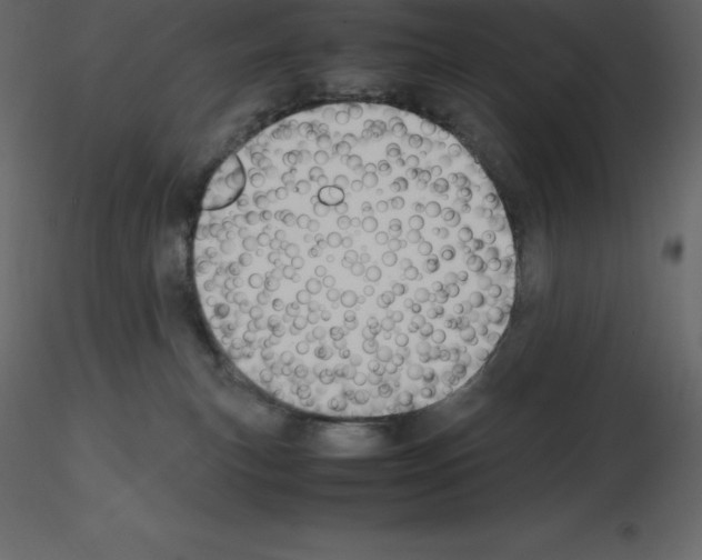 X0000115720183200912241612