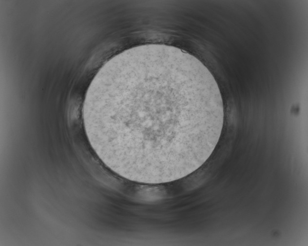 X0000115720185200912241612