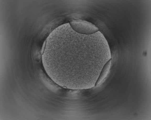 X0000115720186200912241612
