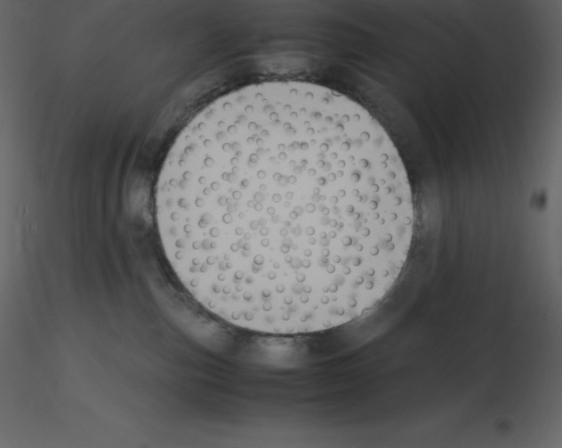 X0000115720187200912241612