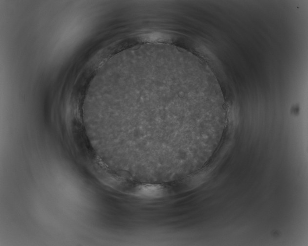 X0000115720189200912241612