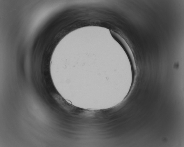 X0000115720190200912241612