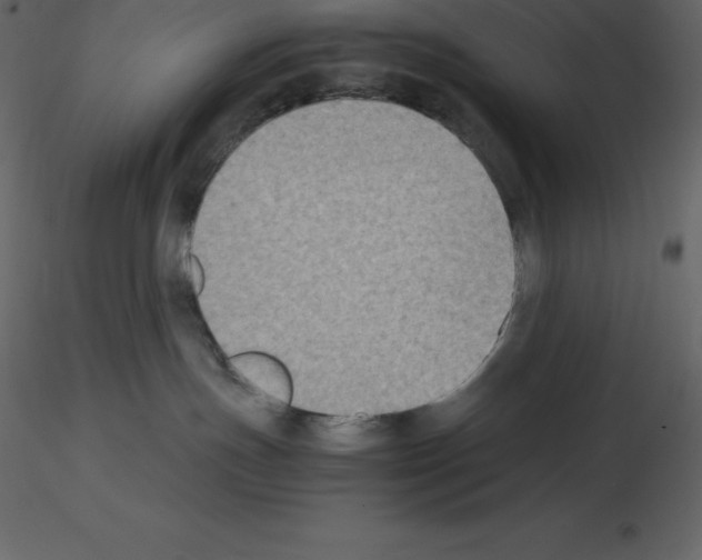 X0000115720191200912241612