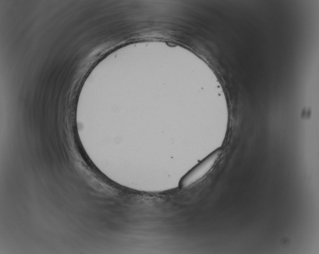 X0000115720193200912241612