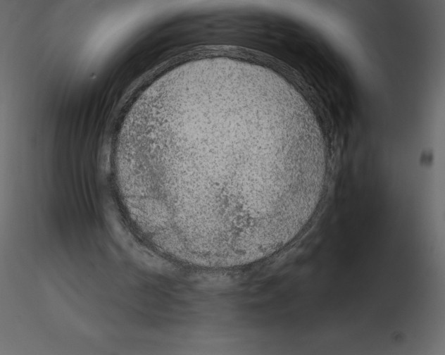 X0000115720194200912241612
