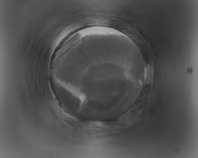 X0000115720195200912241612