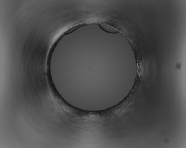 X0000115720196200912241612