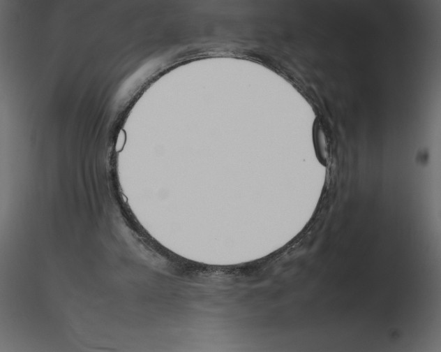 X0000115720197200912241612