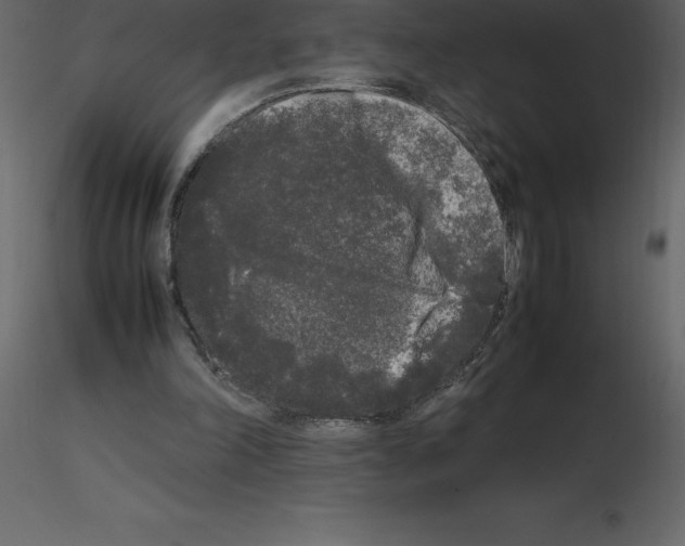 X0000115720198200912241612