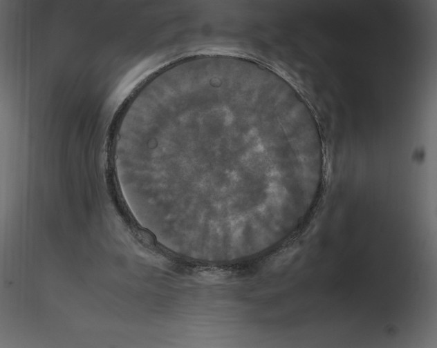 X0000115720199200912241612