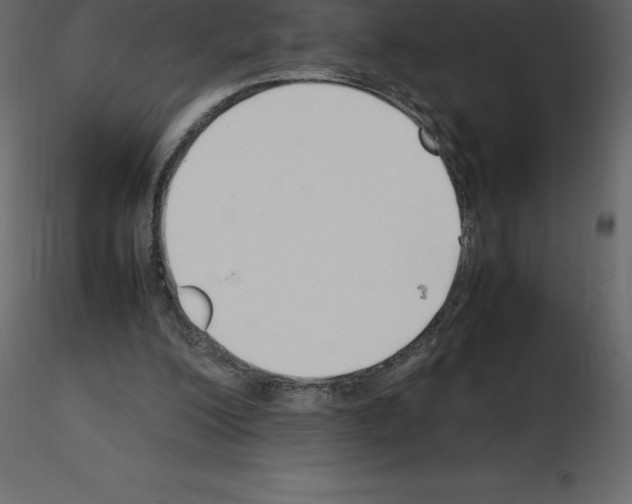 X0000115720200200912241612