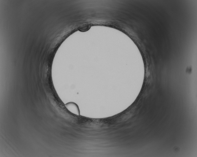 X0000115720201200912241612
