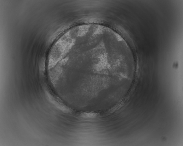 X0000115720202200912241612