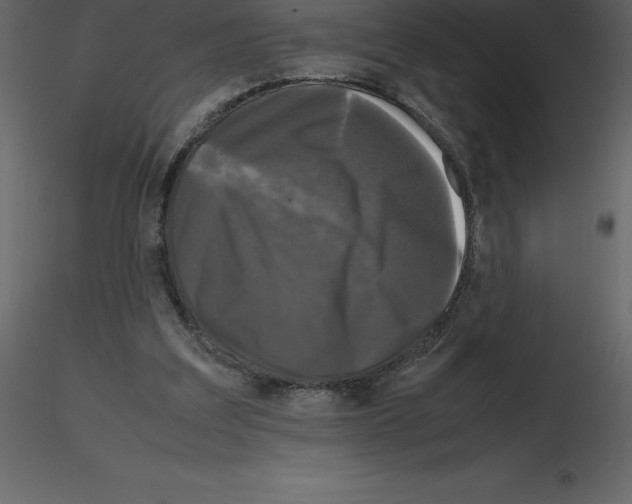X0000115720203200912241612
