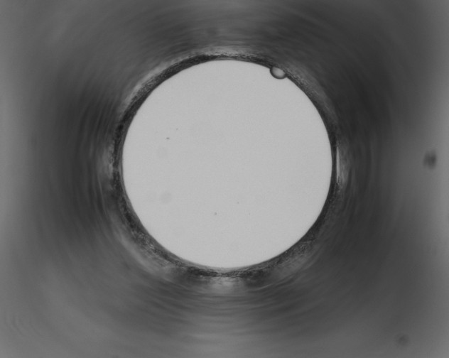 X0000115720204200912241612