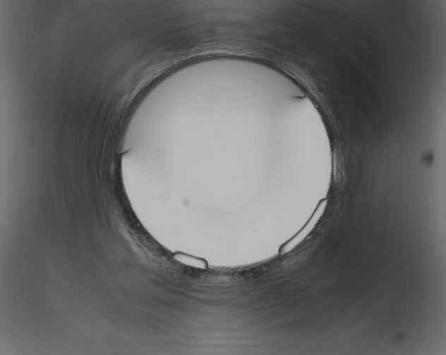 X0000115720205200912241612