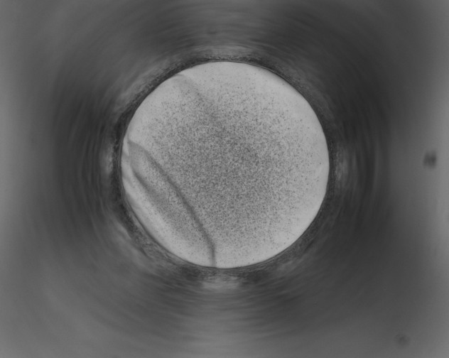 X0000115720206200912241612