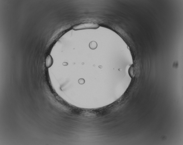 X0000115720207200912241612