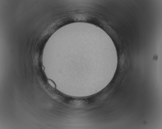 X0000115720209200912241612