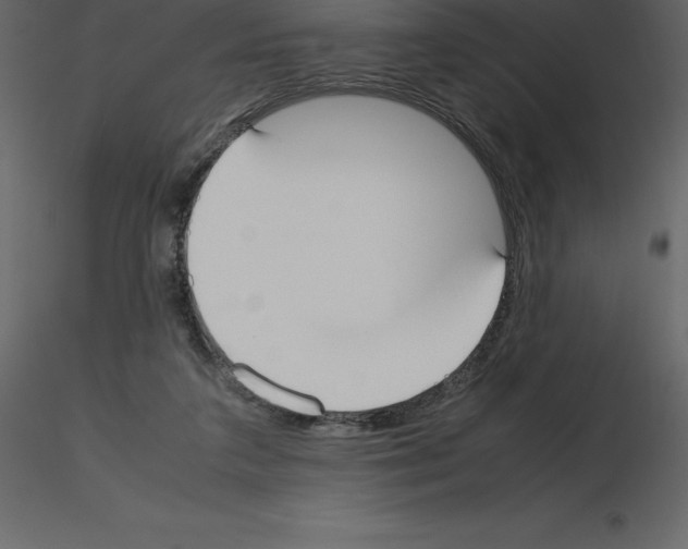 X0000115720211200912241612