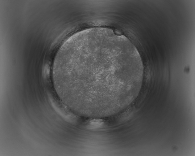 X0000115720214200912241612