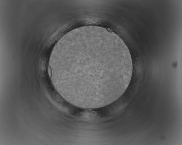 X0000115720215200912241611