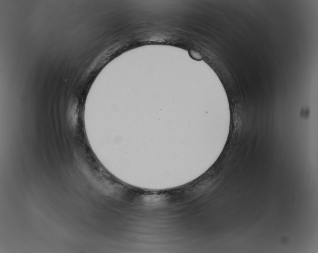 X0000115720216200912241611