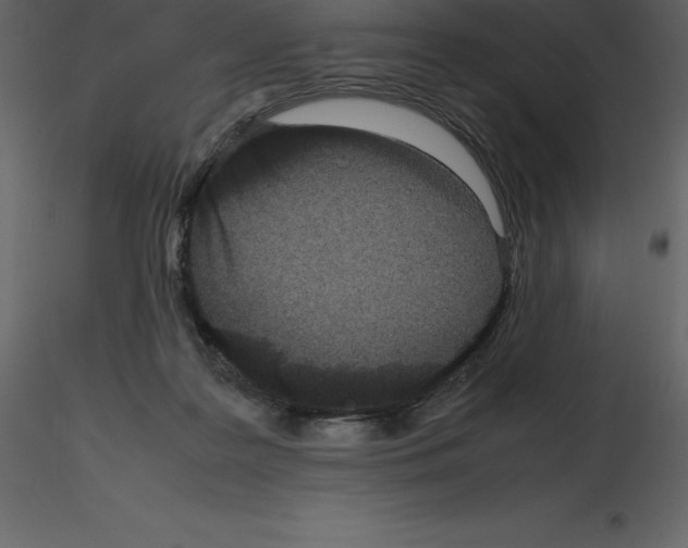 X0000115720219200912241611