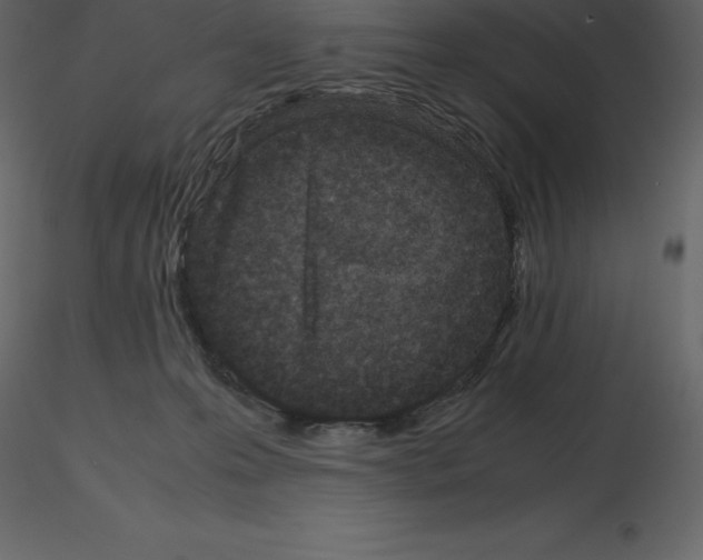 X0000115720223200912241611