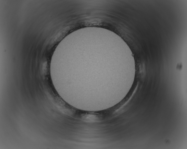 X0000115720224200912241611