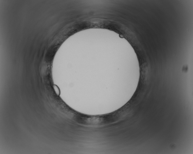 X0000115720225200912241611