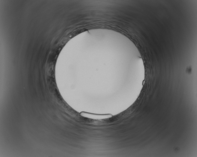 X0000115720229200912241611